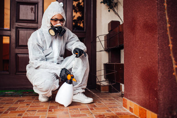 Attic and Crawl Space Rodent Treatment in Riverdale Park